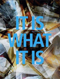 It Is What It Is: Recent Acquisitions of New Canadian Art