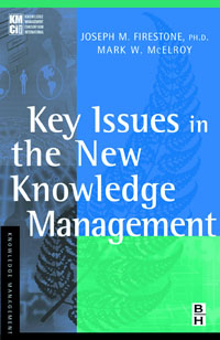 Key Issues in the New Knowledge Management