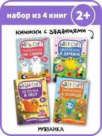 Набор из 4 книг для детей, задания и задачки для малышей 2+