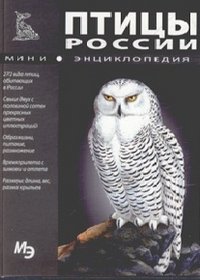 Птицы России. Мини-энциклопедия