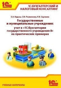 Государственные и муниципальные учреждения. Учет в 