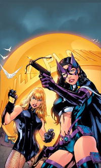 Birds of Prey Vol. 4: The Battle Within