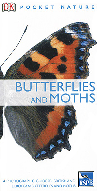 Butterflies and Moths