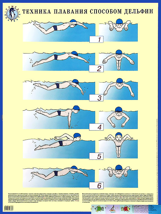 Учись плавать! Техника плавания способом дельфин. Плакат