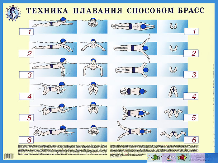 Техника плавания способом брасс. Плакат