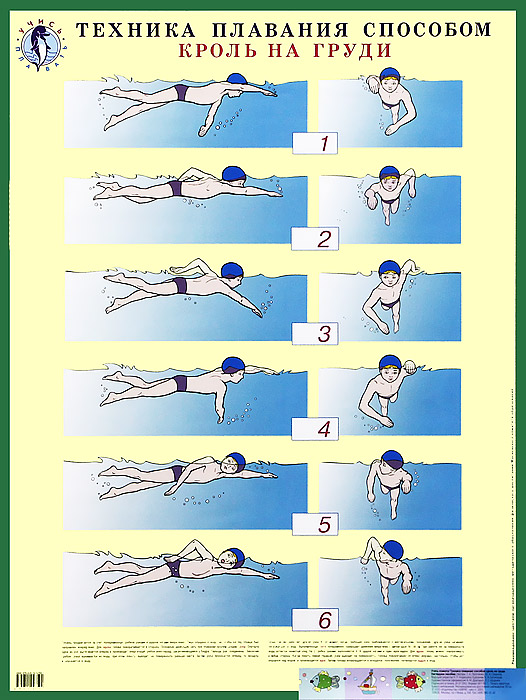 Учись плавать! Техника плавания способом кроль на груди. Плакат