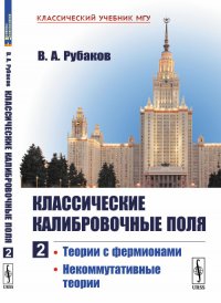 Классические калибровочные поля. Теории с фермионами. Некоммутативные теории