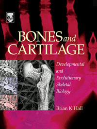 Bones and Cartilage: Developmental Skeletal Biology