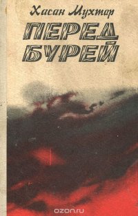 Перед бурей