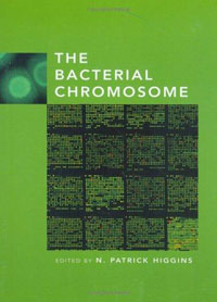 The Bacterial Chromosome