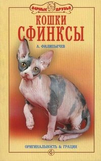 Кошки сфинксы. Оригинальность и грация