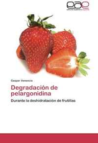 Degradacion de pelargonidina: Durante la deshidratacion de frutillas (Spanish Edition)