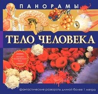 Панорамы. Тело человека