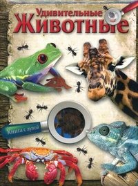 Стрекоза.Книга с лупой.Удивительные животные