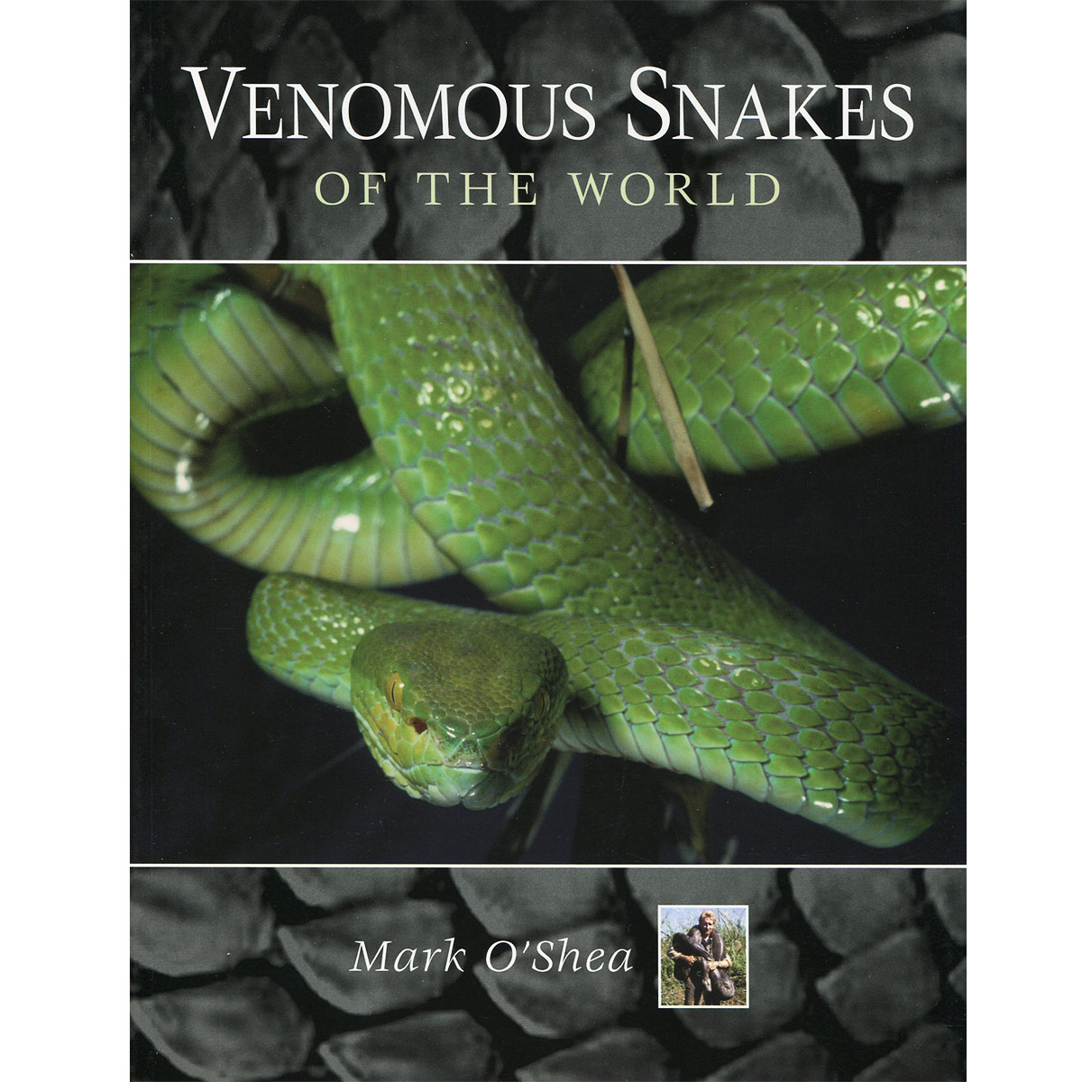 Venomous Snakes of the World