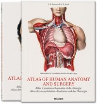 * ju-25 Bourgery. Atlas of Human Anatomy and Surgery / Атлас анатомии человека и хирургии