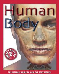 Human Body: The Ultimate Guide to How the Body Works