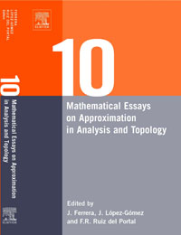 Ten Mathematical Essays on Approximation in Analysis and Topology