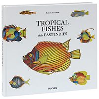 Tropical Fishes of the East Indies