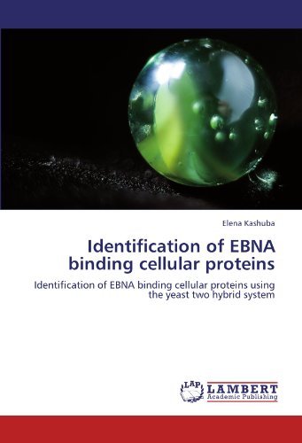 Identification of EBNA binding cellular proteins: Identification of EBNA binding cellular proteins using the yeast two hybrid system