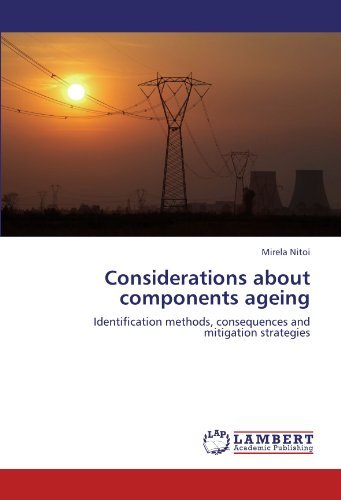 Considerations about components ageing: Identification methods, consequences and mitigation strategies