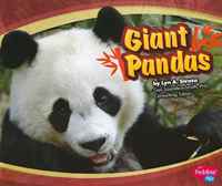 Giant Pandas (Asian Animals)