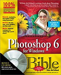 Photoshop 6 for Windows Bible