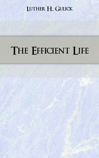 The Efficient Life