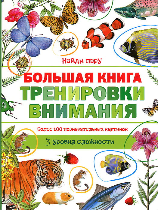 Найди пару. Большая книга тренировки внимания (Найди пару. Большая книга тренировки внимания)