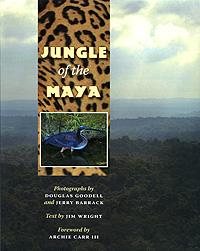 Jungle of the Maya