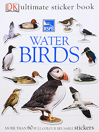 Water Birds