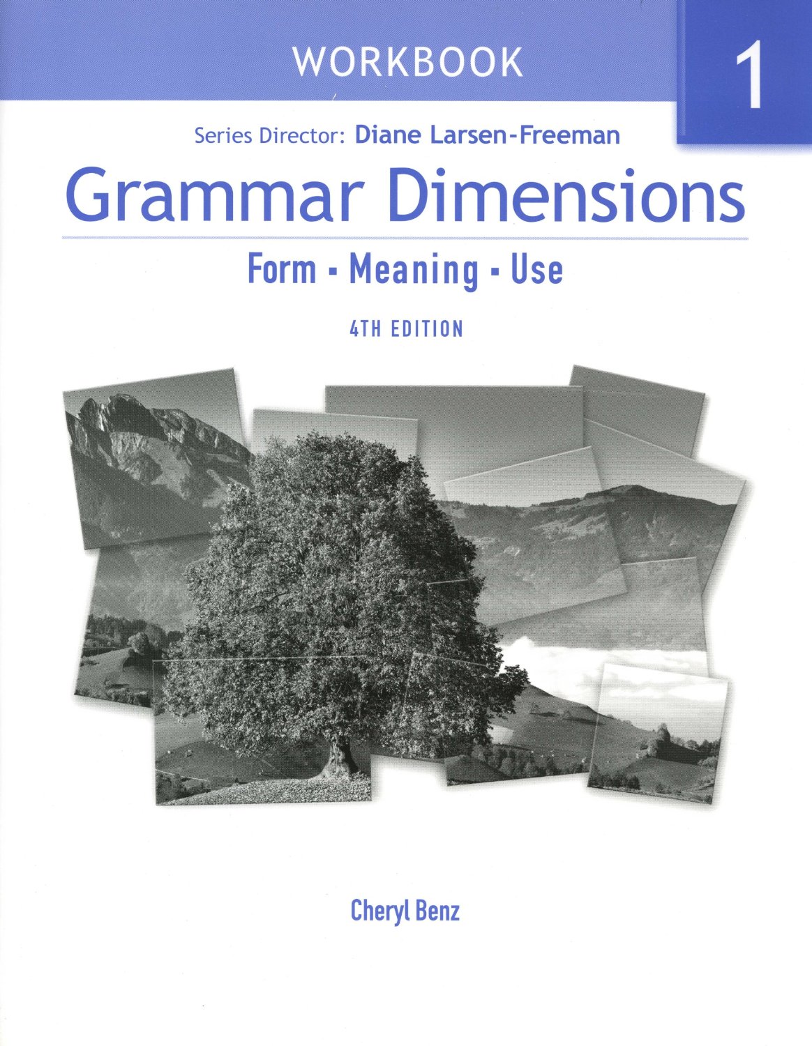 Grammar Dimensions: Workbook 1