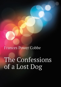 The Confessions of a Lost Dog