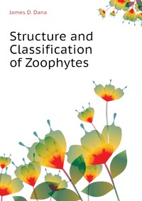 Structure and Classification of Zoophytes