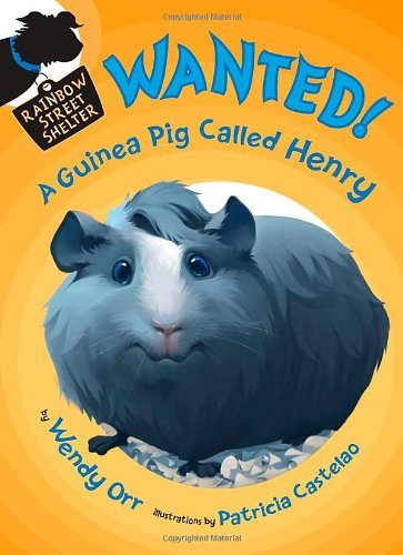 WANTED! A Guinea Pig Called Henry (Rainbow Street Shelter)