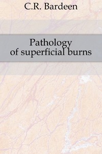 Pathology of superficial burns