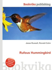 Rufous Hummingbird