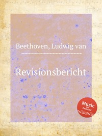 Revisionsbericht