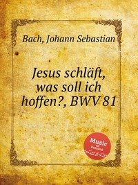 Jesus schlaft, was soll ich hoffen?, BWV 81