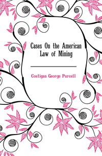 Cases On the American Law of Mining