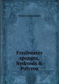 Freshwater sponges, hydroids & Polyzoa