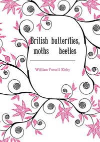 British butterflies, moths & beetles