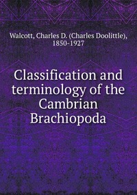 Classification and terminology of the Cambrian Brachiopoda