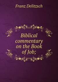 Biblical commentary on the Book of Job;