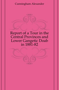 Report of a Tour in the Central Provinces and Lower Gangetic Doab in 1881-82