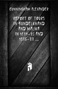 Report of Tours in Bundelkhand and Malwa in 1874-75 and 1876-77 ...