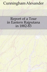 Report of a Tour in Eastern Rajputana in 1882-83