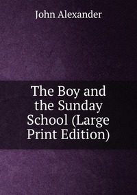 The Boy and the Sunday School (Large Print Edition)