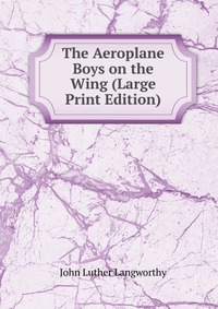 The Aeroplane Boys on the Wing (Large Print Edition)