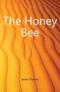 The Honey Bee